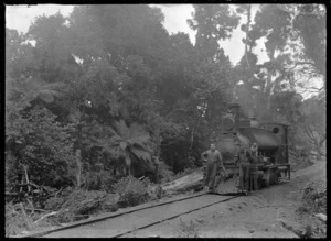 Locomotive in bush, with two men standing alongside.
