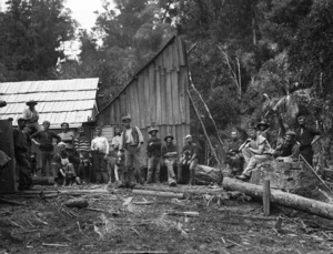 Timber workers, North Auckland
