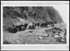 Photo of horses and carts on the road