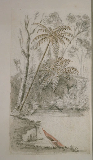 Taylor, Richard 1805-1873 :[Canoe and tree ferns. 1840-1870?]