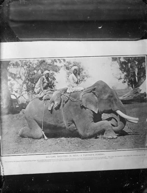 Two Indians seated on an elephant, with the body of a panther tied across the elephant's back