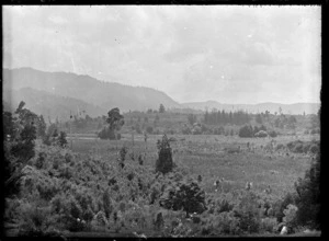 Part one of a two part image of the Waipapa River flat, 1918