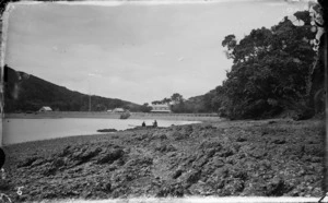 Kawau Island