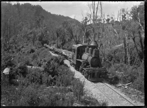 Climax locomotive hauling logs along a track through bush at Ngapuke.