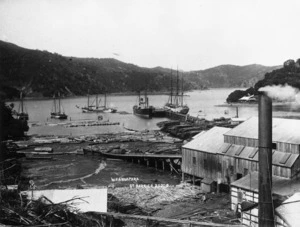 Whangaparapara logging mill, Great Barrier Island