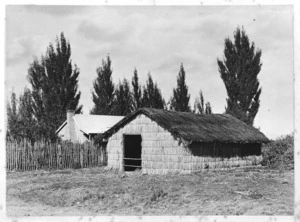 Raupo whare at Wairau Pa