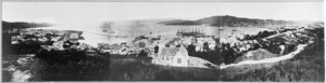 Panorama overlooking Wellington city