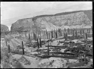 View of the drowned forest that came into view as land was uncovered by water being diverted at Arapuni, 1929.