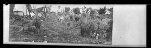 Kauri gum diggers' camp, North Auckland