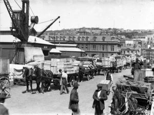 Queen's Wharf, Wellington, showing drays laden with goods