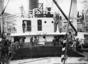 Deck scene on board the ship transporting the first load of chilled beef to England