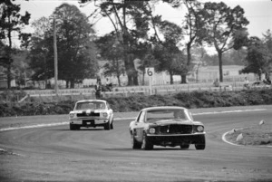Ford Mustang cars racing in Levin