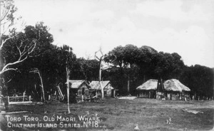 Scene with whare at Torotoro, Chatham Islands