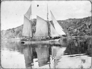 Scow Hero, Whangamumu