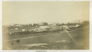 View of the town of Tauranga