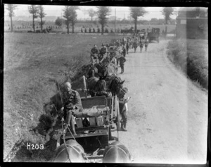 Line of horse drawn army carriages at the NZASC ration dump, Steenbecque, France