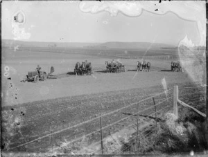 Tractor, and groups of horses, ploughing a field, probably Napier/Hastings district