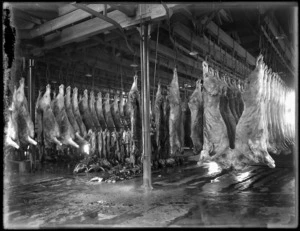 Sides of beef in a cooling room at an unidentified meat works