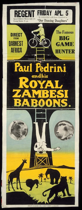 Regent Theatre :Friday Ap[ri]l 5. Direct from darkest Africa, the famous big game hunter, Paul Pedrini and his Royal Zambesi Baboons. Wright & Jaques Ltd., Albert Street, Auckland. [1929].