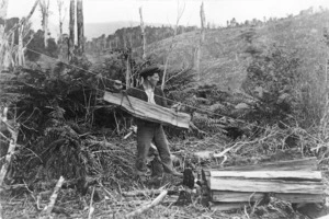 Transporting logs, Owaka Bush