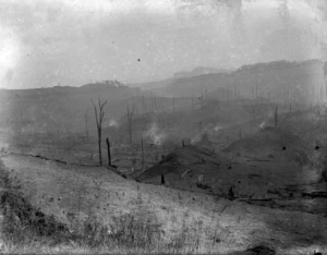 A landscape cleared of trees