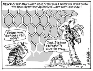 Smith, Ashley W, 1948- :News; After many hives were spilled in a Carterton truck crash the bees were "not agressive..but very confused". 9 September 2014