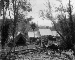 Surveyors in a bush camp, Nelson district