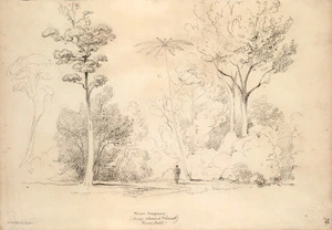 Swainson, William 1789-1855 :Near Comptons. (Since cleared and burnt) River Hutt. [1843?]