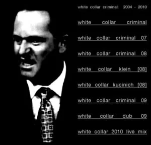 White collar criminal, 2004-2010 [electronic resource].