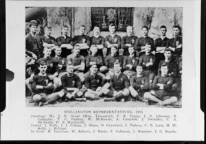 Wellington Rugby Football Union representative team of 1895