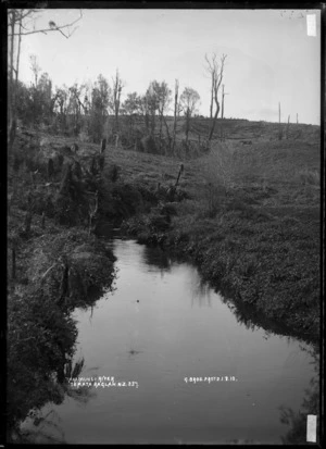 Takapaunui River, Te Mata, Raglan County, 1910 - Photograph taken by Gilmour Brothers