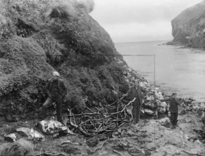 Frame of a coracle built by the castaways from the Dundonald, Disappointment Island, Auckland Islands - Photograph taken by Samuel Page