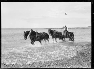Horse drawn carriage collecting shingle at Owhiro Bay, Wellington