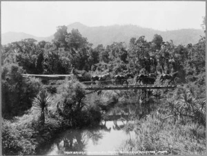 Swamp area in the Rai Valley, Marlborough, with horses hauling a log over a tramway bridge