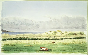 [Green, Samuel Edwy], 1838-1935 :Breakers at Waipapa. [1881]
