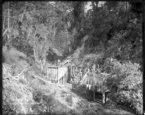 Loading shafts and tramline of Pakawau mine