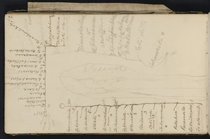Mantell, Walter Baldock Durrant, 1820-1895 :Takapo over Mt Elephant [Map drawn by Te Wharekorari. 1848]