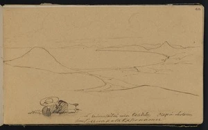 Mantell, Walter Baldock Durrant, 1820-1895 :From Pukewakatakaponamu. Waimataitai River, Katitaky. Otago in distance. [1848]