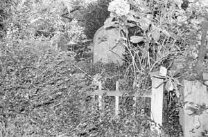Shorten family grave, plot 5307, Bolton Street Cemetery