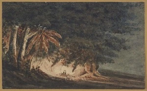 [Halcombe, Edith Stanway (Swainson)] 1844-1903 :Camping out. Night scene. [Camp fire below tree fern] [1870s?]
