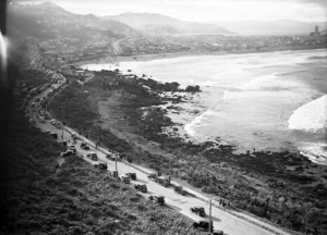View over Lyall Bay, Wellington, showing a road congested with cars and a crowd of people whale watching on the waterfront
