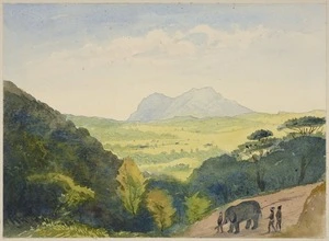 [Fox, William] 1812-1893 :Newera Ellia. Ceylon [1865?]