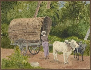 Hands, Alfred Watson, 1849-1927 :[Bullock cart in Ceylon (Sri Lanka) 1887]