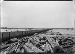 Auckland Harbour waterfront, with kauri logs