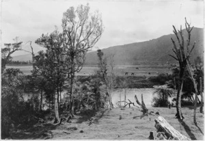 Hutt River, 1896