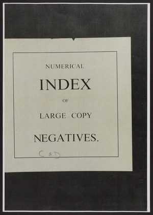 Numerical index of large copy negatives, C and D