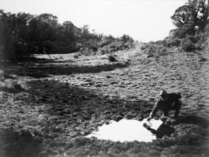 Oriwa Lake hollow from south end showing existing pool. The former lakelet covered the whole area from foreground to distant figures, and from left margin of photo to the dark tussock in centre. 3 June 1928