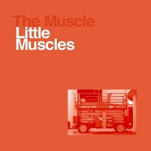 Little muscles / The Muscle.