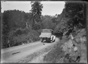 Rear view of a car on the Opotiki to Gisborne Road, in the Motu Bush.