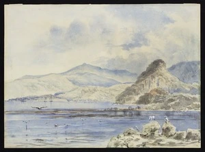 Oliver, Richard Aldworth, 1811-1889 :[View of Hardwicke, Erebus Cove] Port Ross, Auckland Islands. Dec 1st [18]50